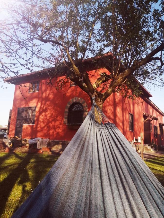 Alloggio Turistico Dakota 만지아나 외부 사진